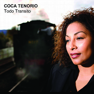 Todo Transito